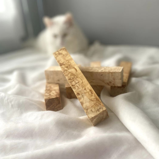 curly birch pen blocks with a white cat on the background
